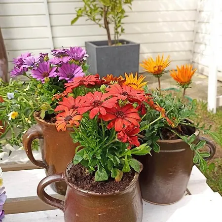 Διαμέρισμα Big Blue Nr 6 - 3 Osobowy