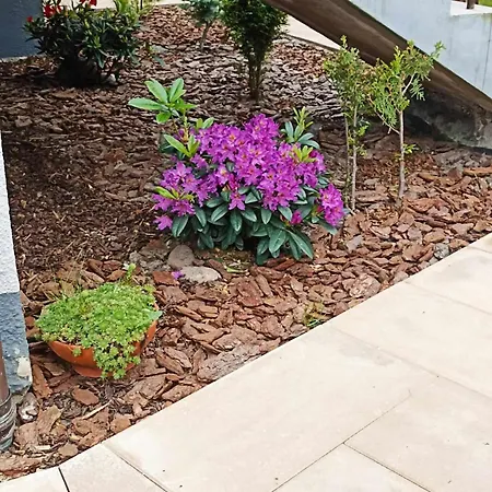 Appartement Big Blue Nr 6 - 3 Osobowy Władysławowo