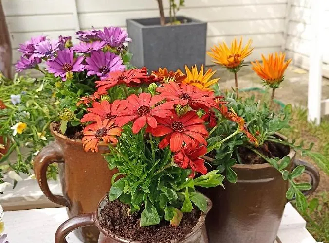 Apartmán Big Blue Nr 6 - 3 Osobowy