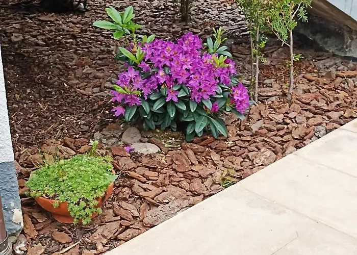 Apartmán Big Blue Nr 6 - 3 Osobowy Władysławowo